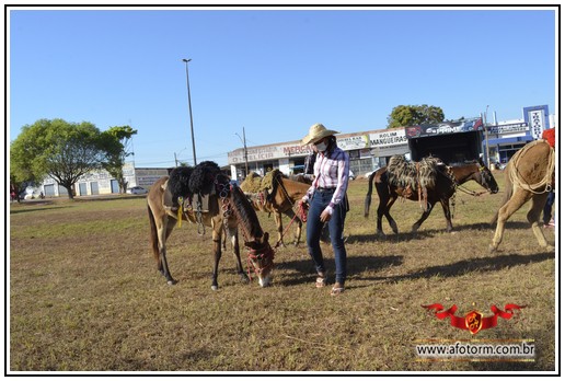 rolim de moura
